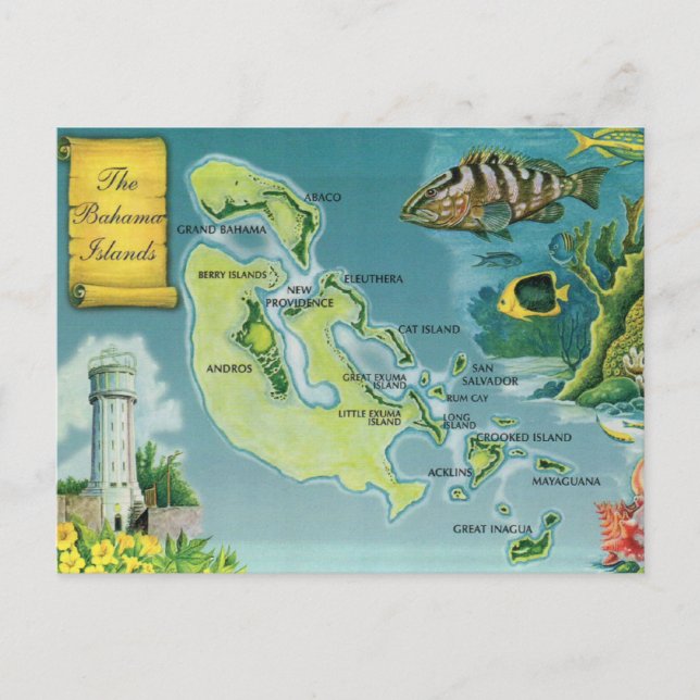 Bahama Islands  Postcard (Front)