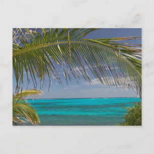 BAHAMAS, Abacos, Loyalist Cays, Man O'War Cay: Postcard