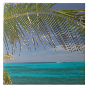 BAHAMAS, Abacos, Loyalist Cays, Man O'War Cay: Tile