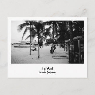 Bahamas Beach scene Postcard