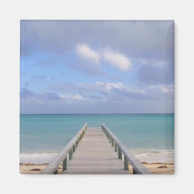 BAHAMAS, Grand Bahama Island, Eastern Side: Magnet (Front)