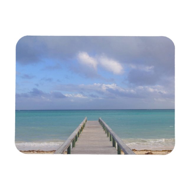 BAHAMAS, Grand Bahama Island, Eastern Side: Magnet (Horizontal)