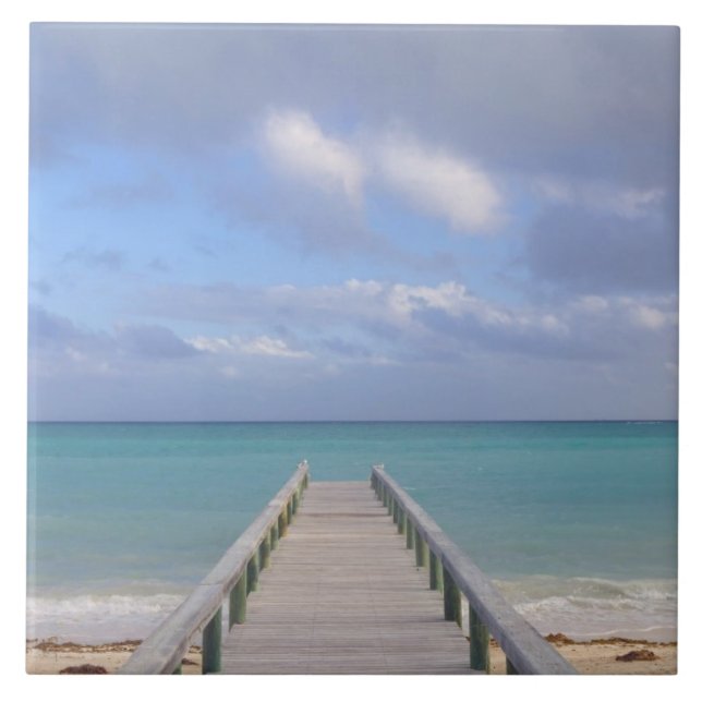 BAHAMAS, Grand Bahama Island, Eastern Side: Tile (Front)