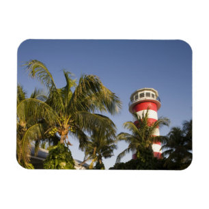 Bahamas, Grand Bahama Island, Freeport, Setting Magnet