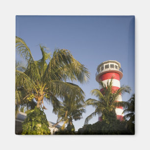 Bahamas, Grand Bahama Island, Freeport, Setting Magnet