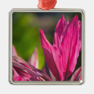 BAHAMAS, New Providence Island, Nassau: Paradise Metal Ornament