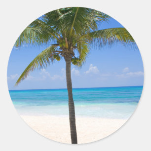 Bahamas Palm Tree Classic Round Sticker