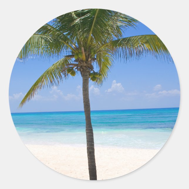 Bahamas Palm Tree Classic Round Sticker (Front)
