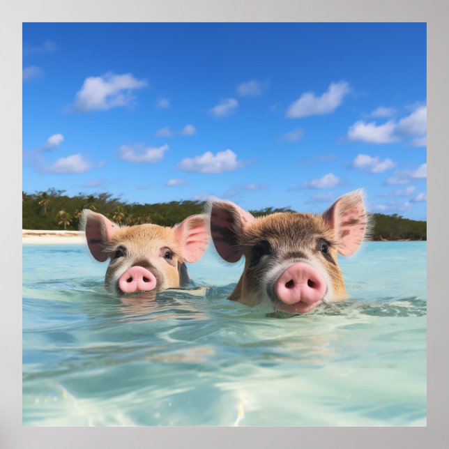 Bahamas Swimming Pig 2024 Poster (Front)