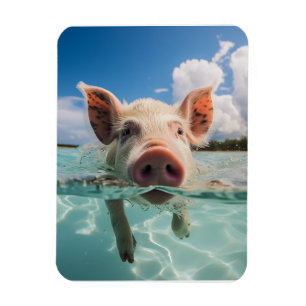 Bahamas Swimming Pig Magnet