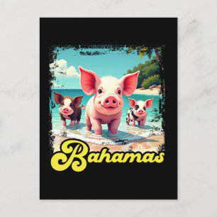 Bahamas Swimming Pigs - Exuma Pig Beach Adventure Postcard