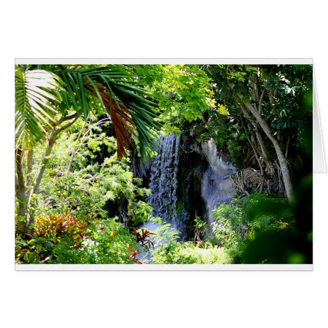 Bahamas Waterfall (Front Horizontal)