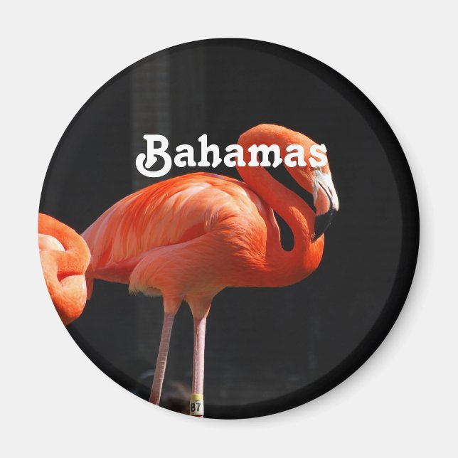 Bahamian Flamingo Magnet (Front)