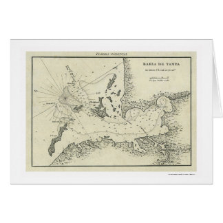 Bahia De Tampa Florida Map 1809