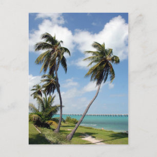 Bahia Honda State Park And Seven Mile Bridge Postcard