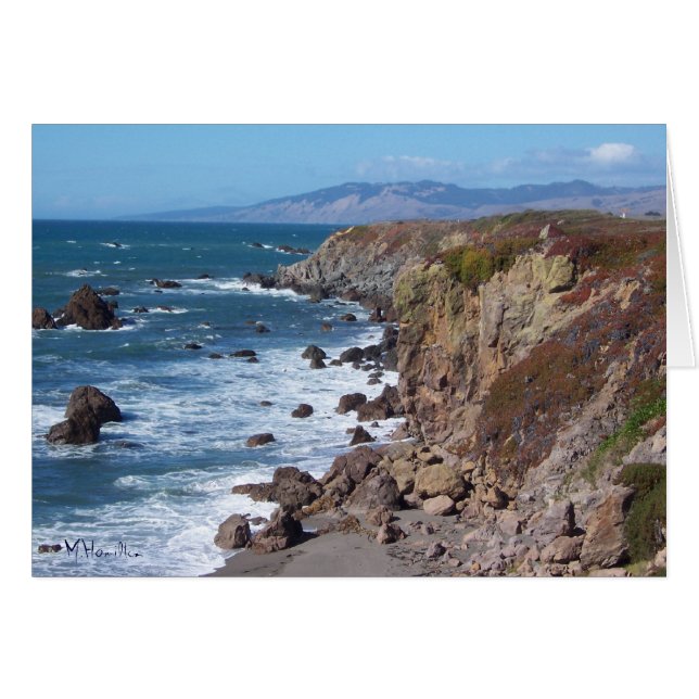 Baie de Bodega (Devant horizontal)
