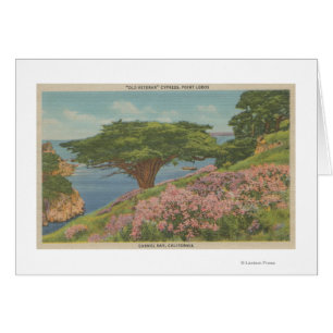 Baie de Carmel, CA - vue d'arbre de "vieux