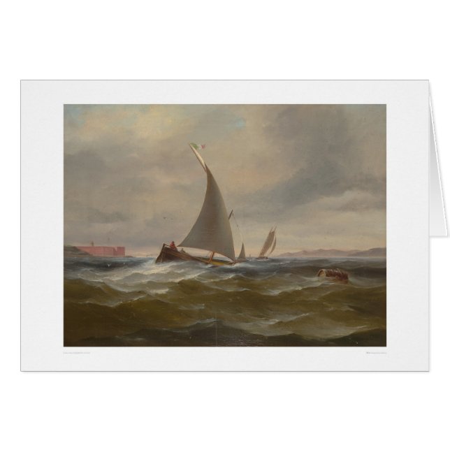 Baie de San Franciso Felluca (1314) (Devant horizontal)