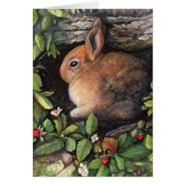 Baies de n de lapin ' (Devant)