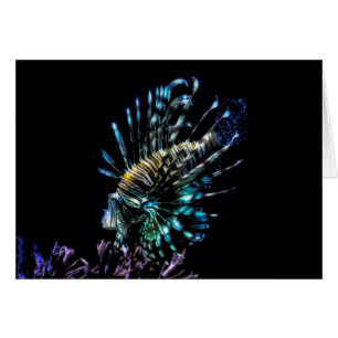 Baignades de poissons-lions