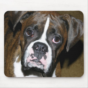 Bailey Close Up Mouse Pad