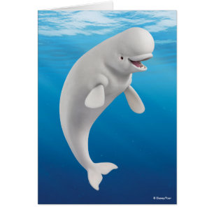 Bailey   Just Dial it in… 2