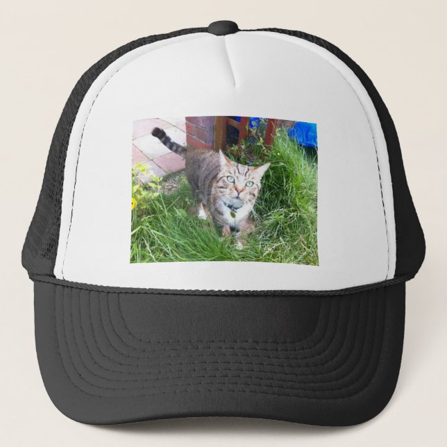Bailey le casquette du chat (Devant)