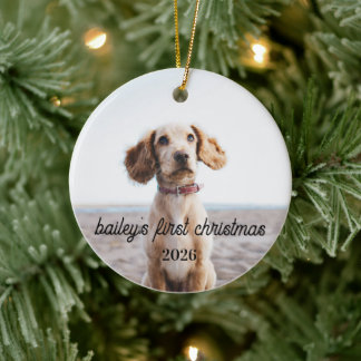 Bailey’s First Christmas Dog Ornament 2026
