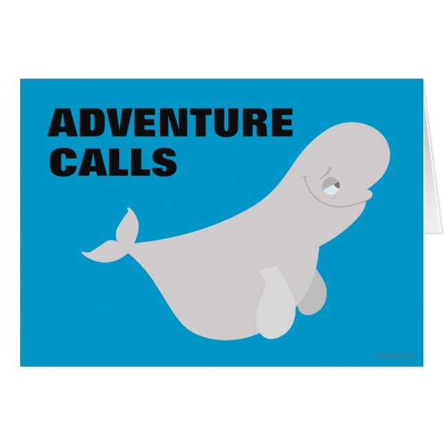 Bailey the Beluga Whale (Front Horizontal)