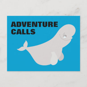 Bailey the Beluga Whale Postcard