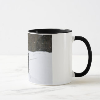 Bailey The Patterdale Terrier Mug