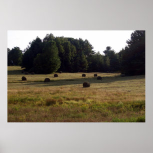 Bails of Hay Poster