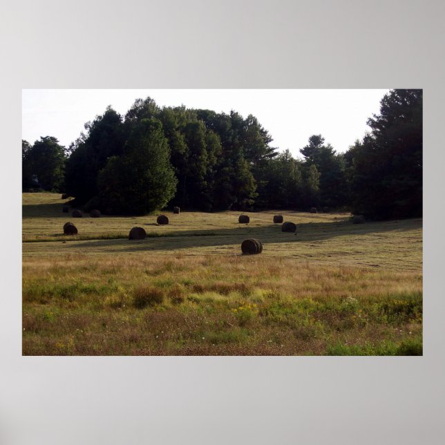 Bails of Hay Poster (Front)