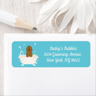 Bain à bulle Goldendoodle mignon