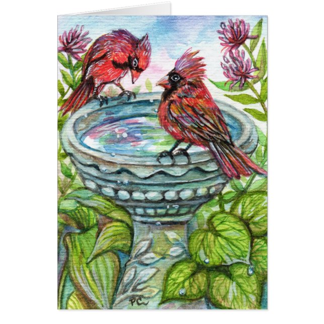 Bain d'oiseaux (Devant)