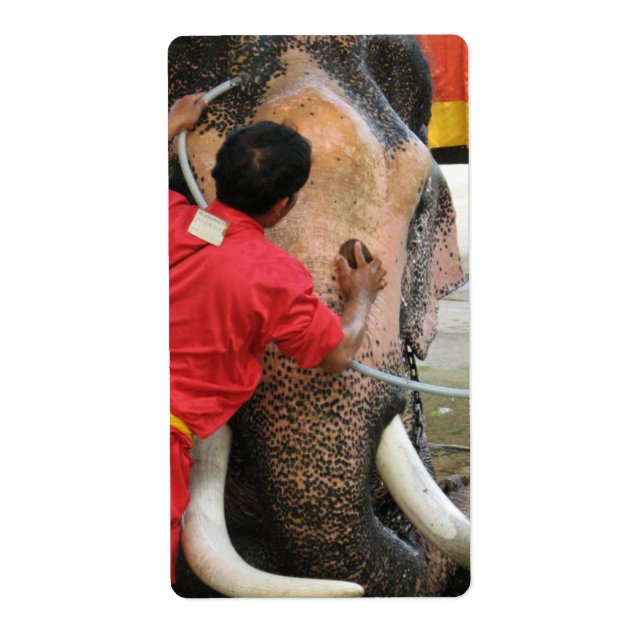 Bain Eléphant ... Ayutthaya, Thaïlande (Devant)