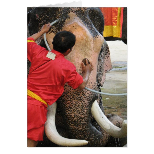 Bain Eléphant ... Carte Ayutthaya, Thaïlande (Devant)