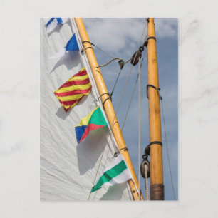 Bainbridge Island Wooden Boat Festival 3 Postcard