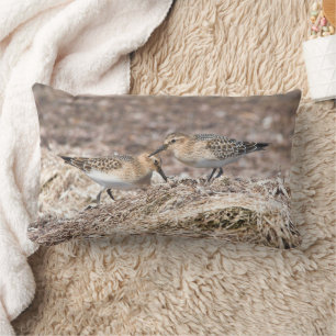 Baird's Sandpipers on Autumn Beach Lumbar Pillow