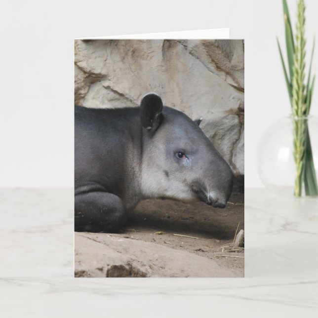 Baird's Tapir Greeting Card (Front)