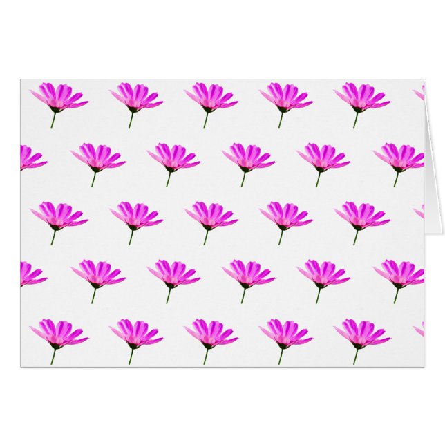 Baise rose (Devant Horizontal)