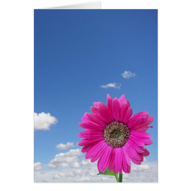 Baise rose (Devant)