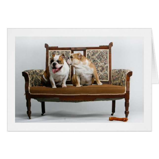 Baiser volé (Devant horizontal)