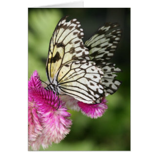 Baisers à papillon I