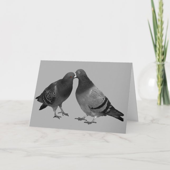Baisers de la carte de voeux de pigeons (Devant)