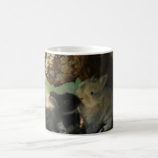 Baisers de la tasse de lapins