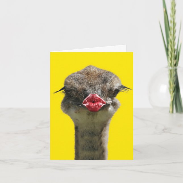 Baisers sauvages - Autruche - Obtenez une carte de (Devant)