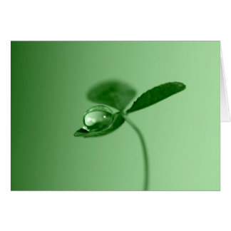 Baisse de rosée de matin