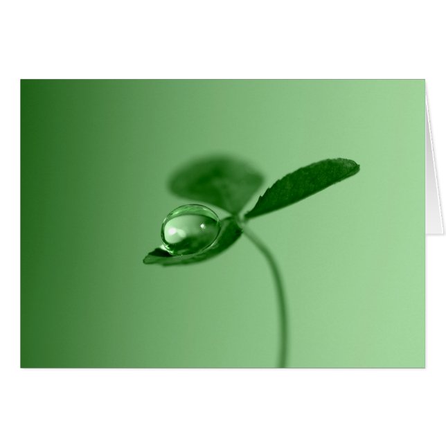 Baisse de rosée de matin (Devant horizontal)