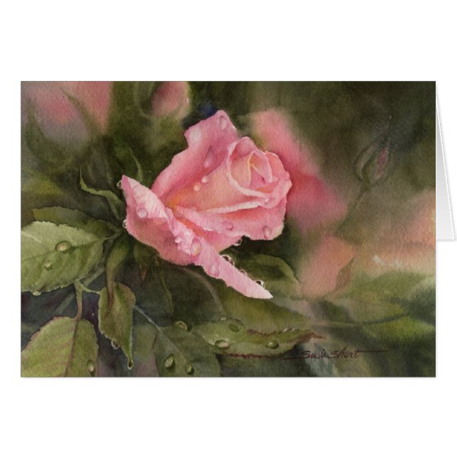 Baisses de pluie sur des roses (Devant horizontal)